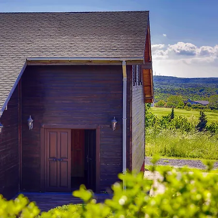 Airport Durusu Club 4* Κωνσταντινούπολη