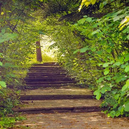 Ξενοδοχείο Airport Durusu Club Κωνσταντινούπολη