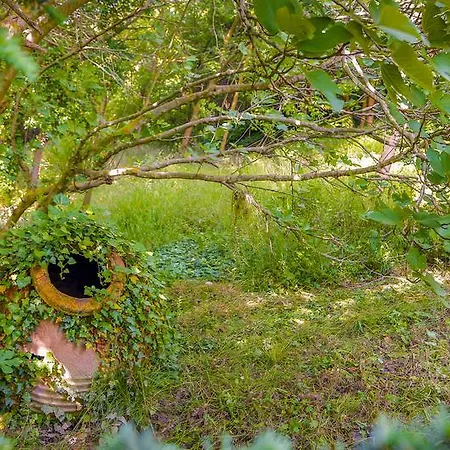 Airport Durusu Club 4*