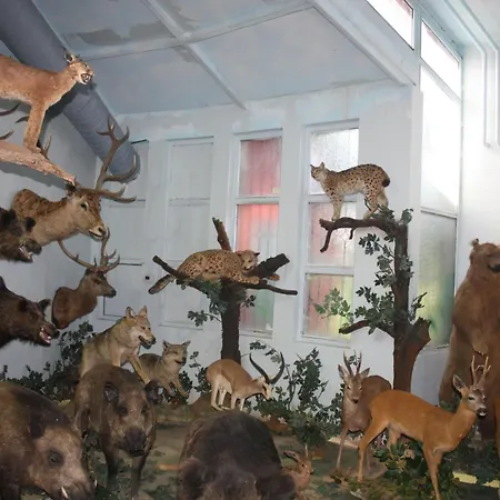 Airport Durusu Club 4*