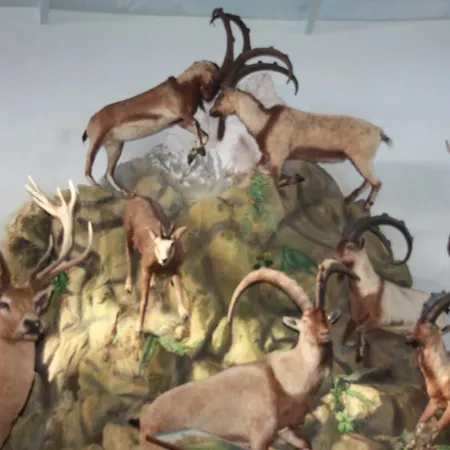 Hotel Airport Durusu Club 4*