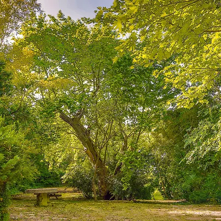 Airport Durusu Club Hotel 4*