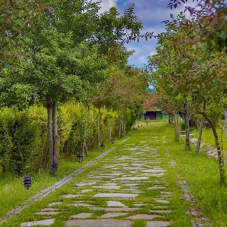 Airport Durusu Club Hotel 4*