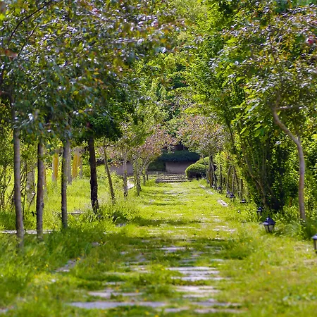 Airport Durusu Club 4*