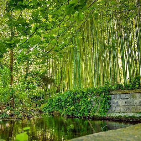 Airport Durusu Club Hotel 4*