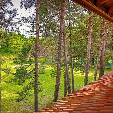 Istanbul Airport Club Hotel Durusu
