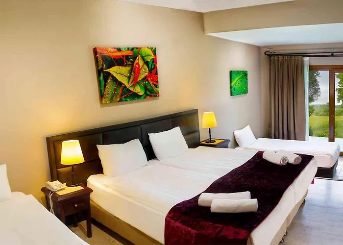 Hotel Airport Durusu Club Istanbul