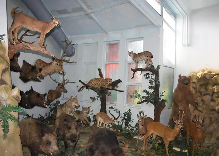 Airport Durusu Club 4*