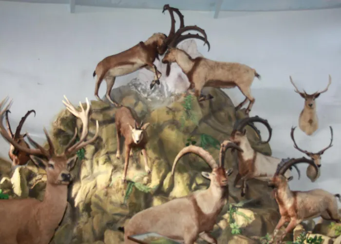 Hotel Airport Durusu Club 4*