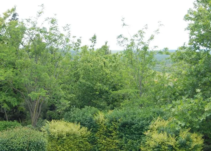 Airport Durusu Club Hotel