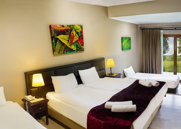 Hotel Airport Durusu Club