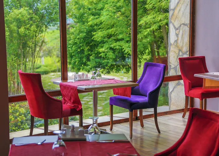 Airport Durusu Club Hotel Istanbul