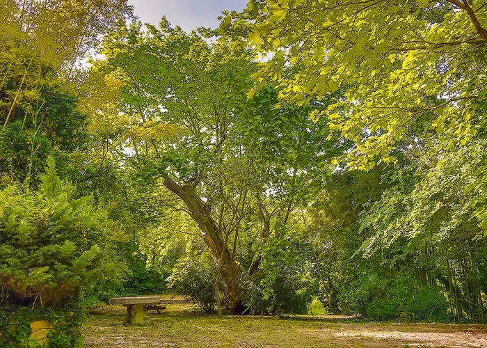 Airport Durusu Club Hotel 4*