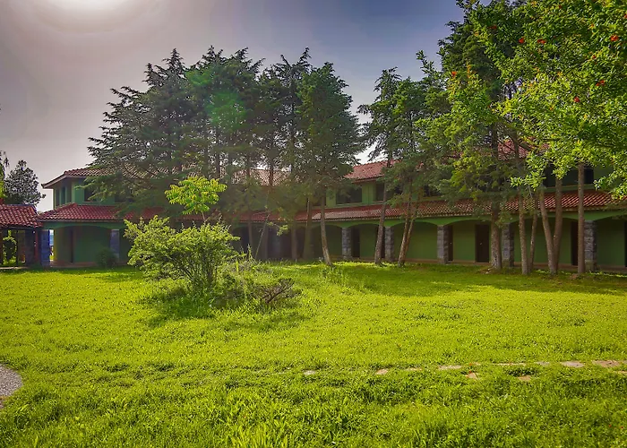 Airport Durusu Club Hotel 4*