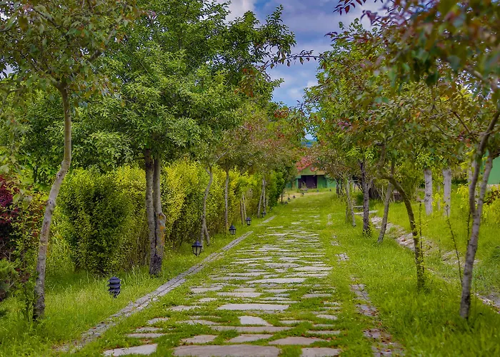 Airport Durusu Club Hotel 4*