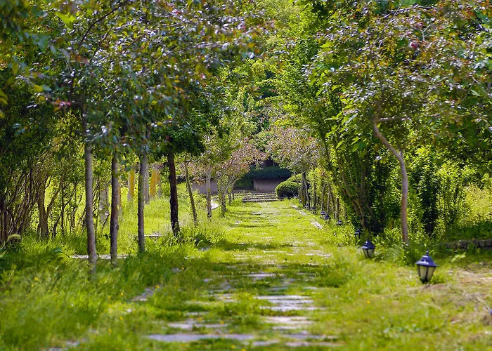 Airport Durusu Club 4*