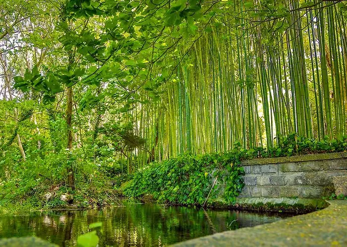 Airport Durusu Club Hotel 4*