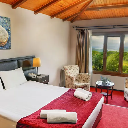 Airport Durusu Club Hotel 4*