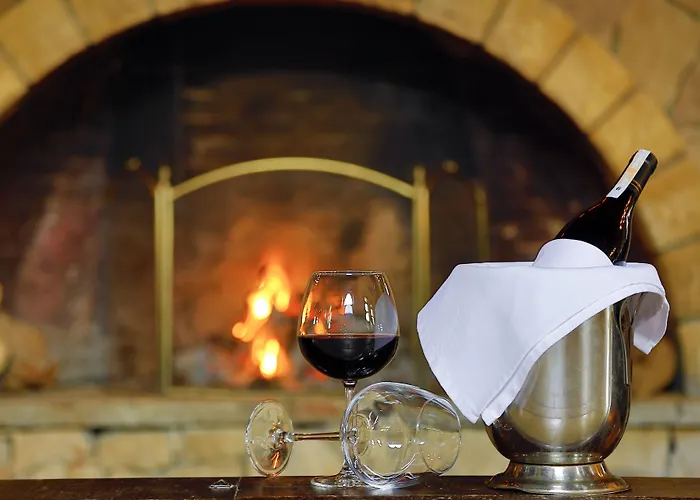 호텔 Airport Durusu Club