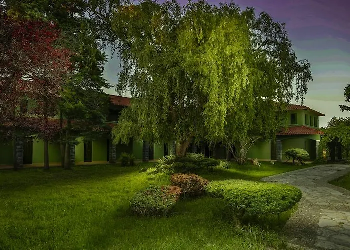 Airport Durusu Club 호텔